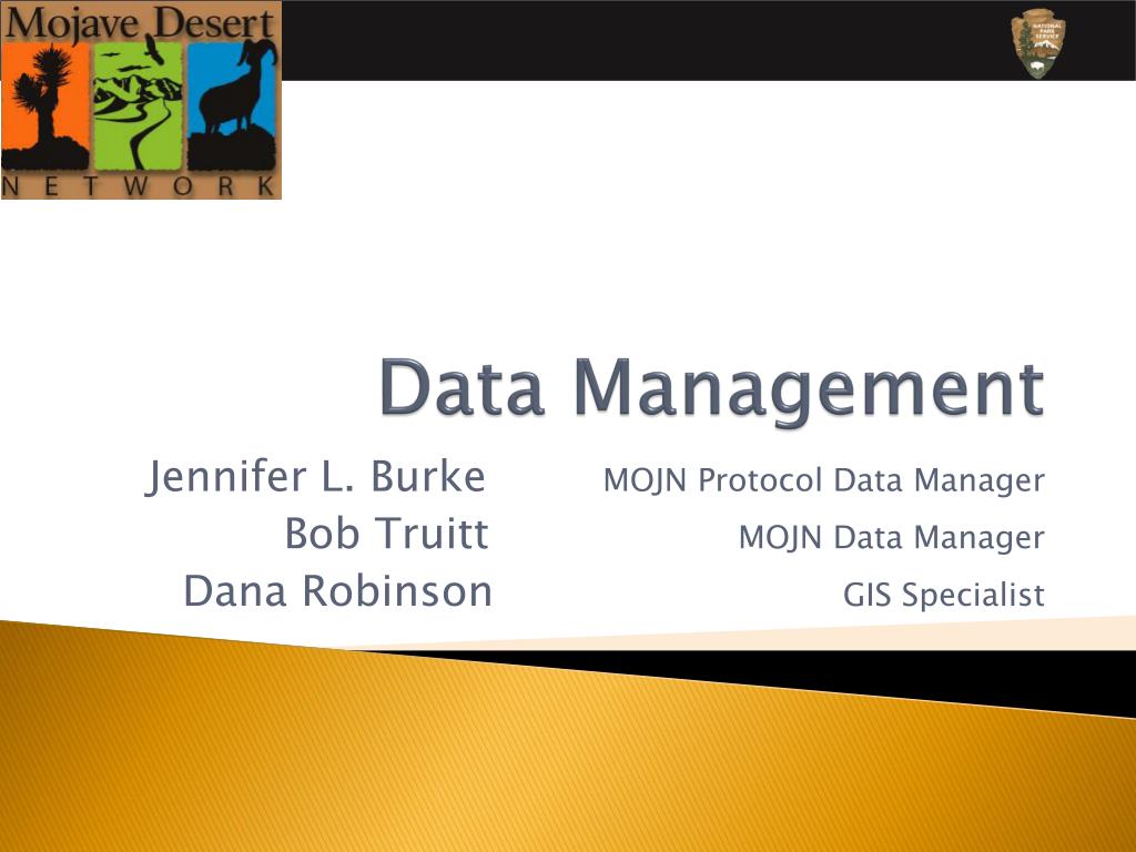 PPT - Data Management PowerPoint Presentation, free download - ID:3515822