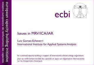 Issues in MRV/ICA/IAR Luis Gomez-Echeverri International Institute for Applied Systems Analysis