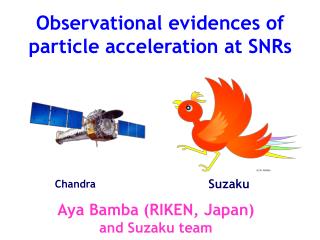 Observational evidences of particle acceleration at SNRs