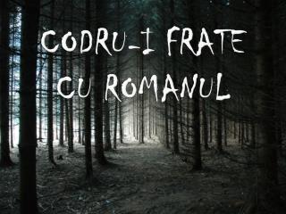 codru i frate cu romanul