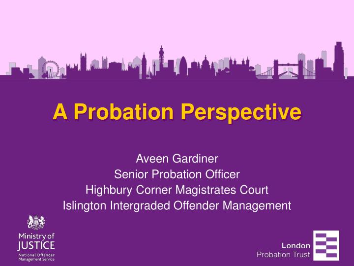a probation perspective