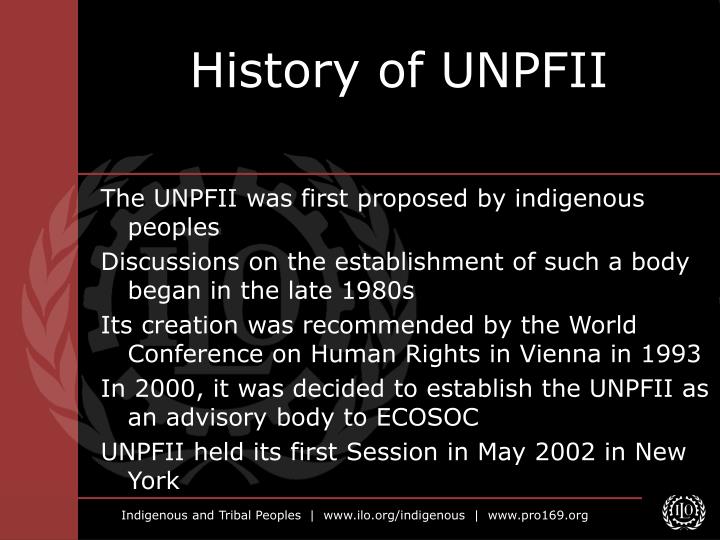 history of unpfii