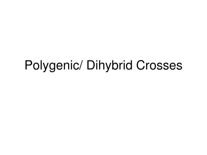 polygenic dihybrid crosses