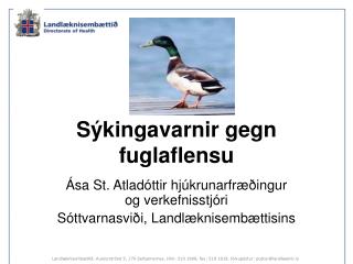 s kingavarnir gegn fuglaflensu