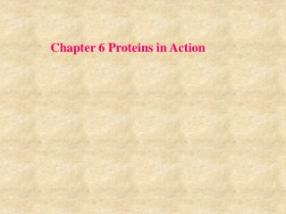 Chapter 6 Proteins in Action