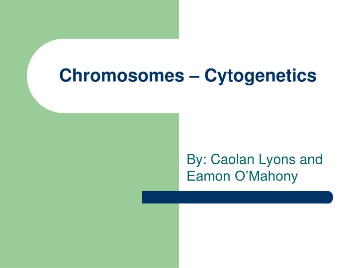 chromosomes cytogenetics
