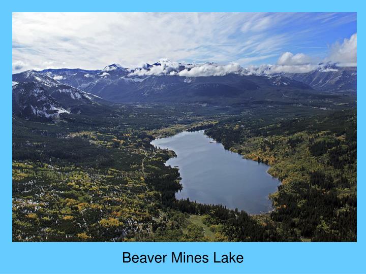 beaver mines lake