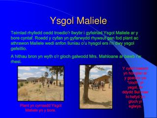 ysgol maliele