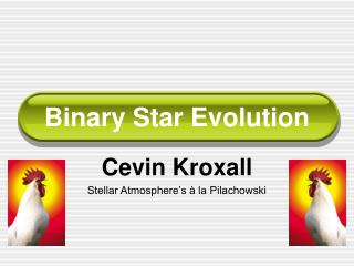 Binary Star Evolution