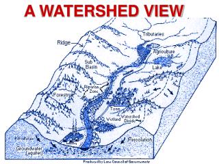 A WATERSHED VIEW