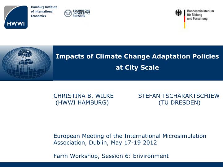 impacts of climate change adaptation policies at city scale