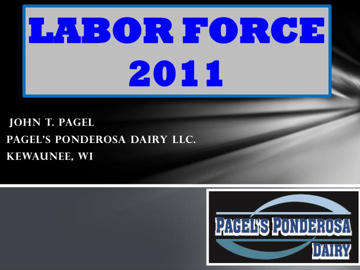 labor force 2011