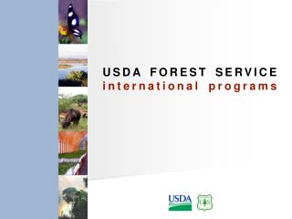 USDA FOREST SERVICE international programs
