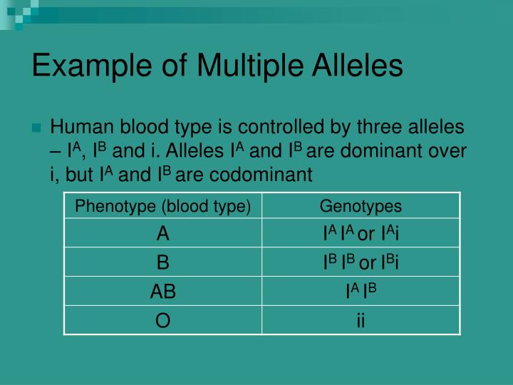 example of multiple alleles