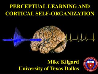PERCEPTUAL LEARNING AND CORTICAL SELF-ORGANIZATION