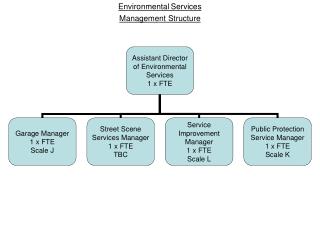 Management Structure