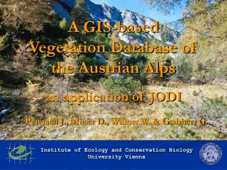 A GIS-based Vegetation Database of the Austrian Alps an application of JODI