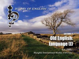 LECTURE 2 Old English: language (I)