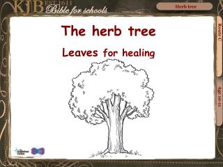 The herb tree Leaves for healing