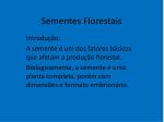 Sementes Florestais - slide 1