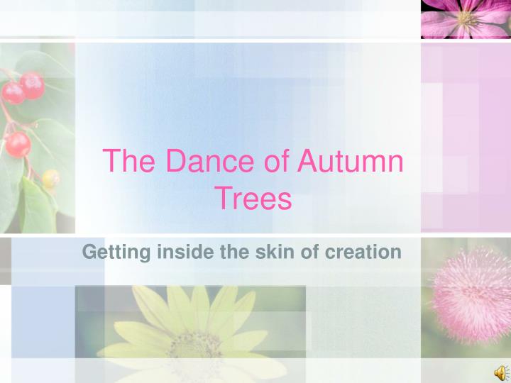 the dance of autumn trees