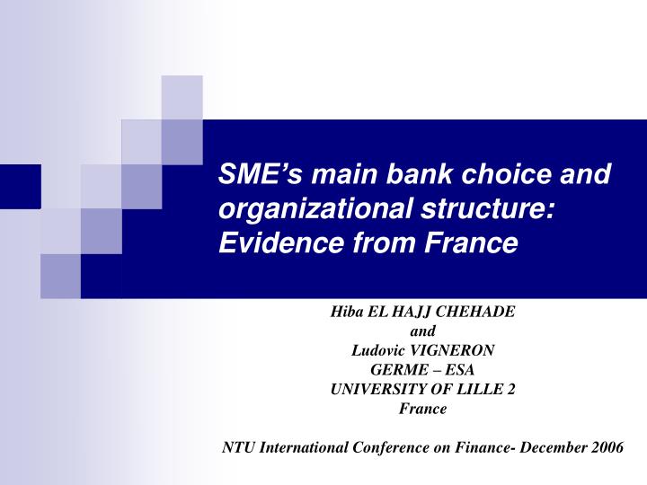 sme s main bank choice and organizational structure evidence from france