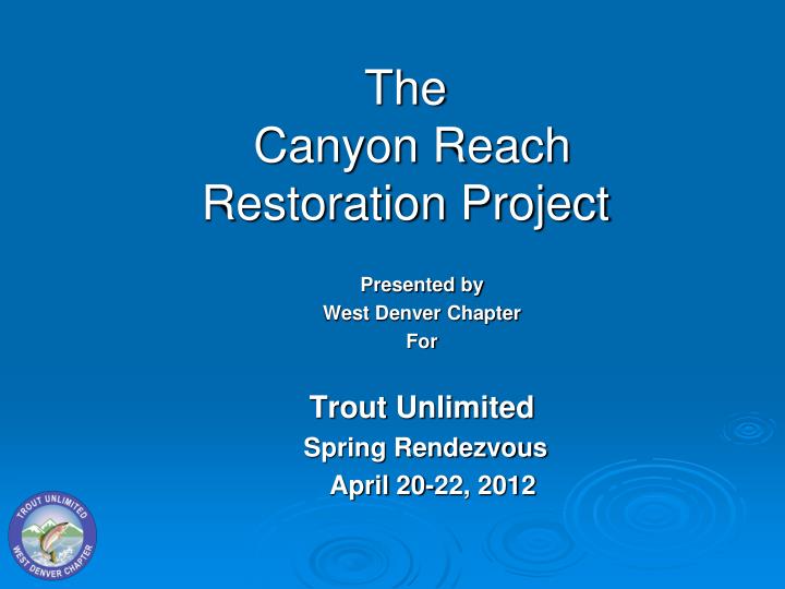 the canyon reach restoration project