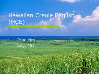 Hawaiian Creole English (HCE)
