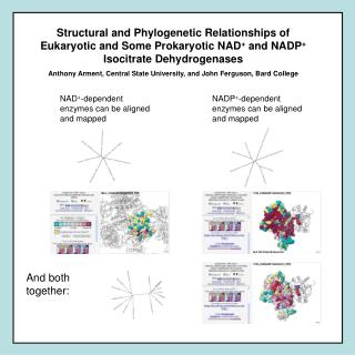 NADP + -dependent enzymes can be aligned and mapped