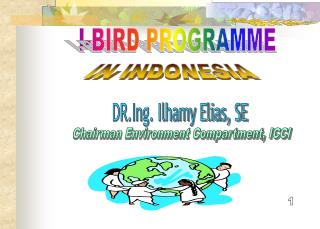 I-BIRD PROGRAMME