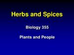 Herbs and Spices - slide 1
