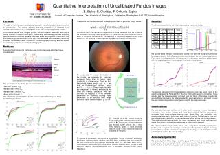 Quantitative Interpretation of Uncalibrated Fundus Images