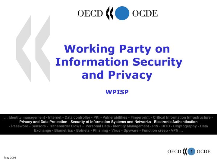 working party on information security and privacy wpisp
