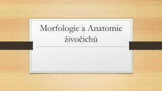 morfologie a anatomie ivo ich
