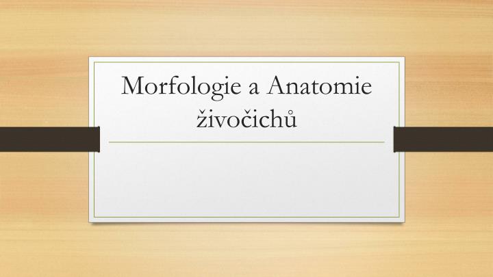 morfologie a anatomie ivo ich