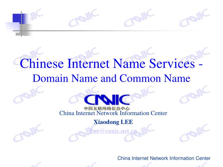 chinese internet name services domain name and common name