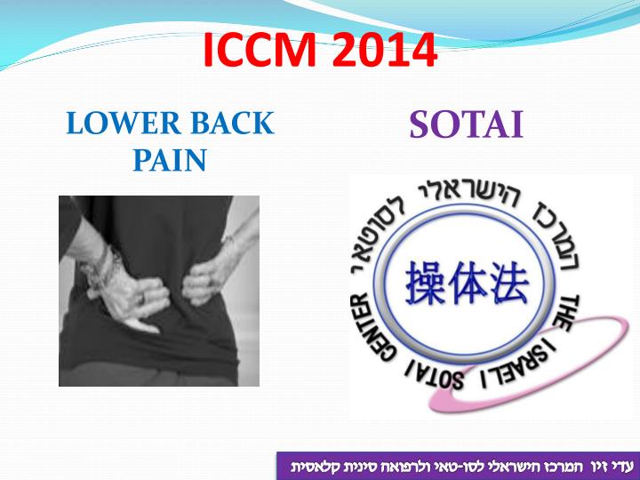 iccm 2014