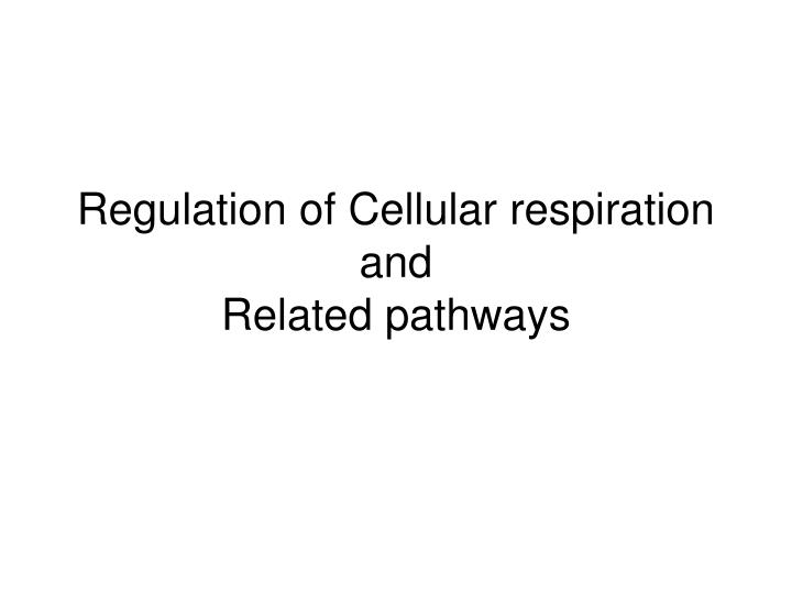 regulation of cellular respiration and related pathways