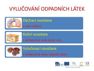 vylu ov n odpadn ch l tek