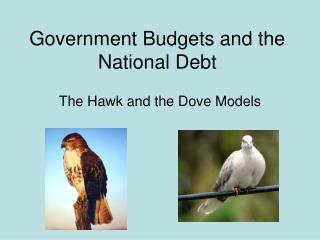 Government Budgets and the National Debt