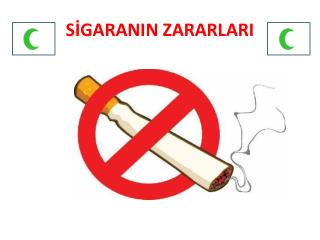 s garanin zararlari