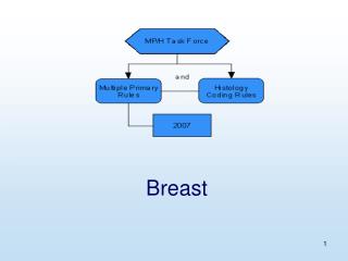 Breast
