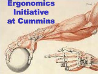 Ergonomics Initiative at Cummins