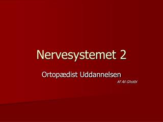 nervesystemet 2
