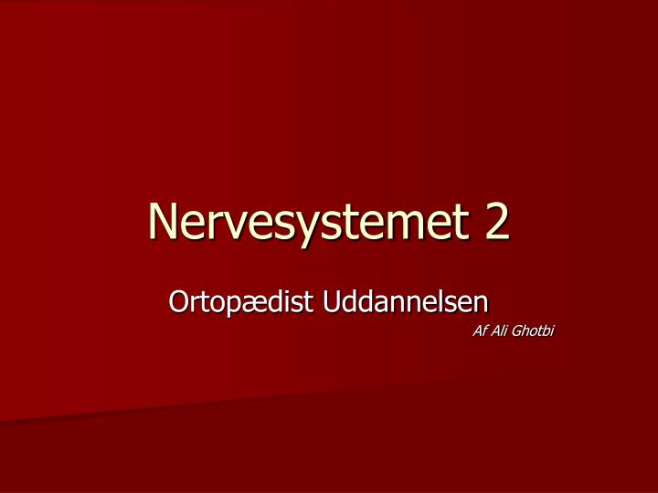 nervesystemet 2