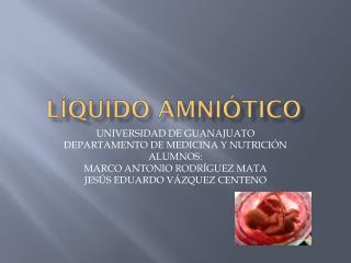 l quido amni tico