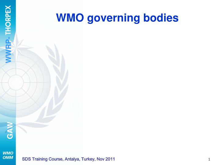 wmo governing bodies