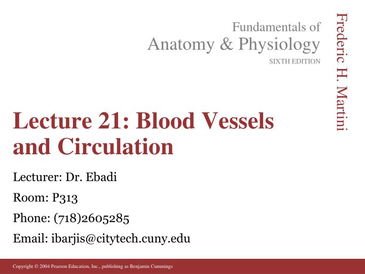 lecture 21 blood vessels and circulation