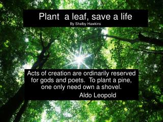 Plant a leaf, save a life By Shelby Hawkins