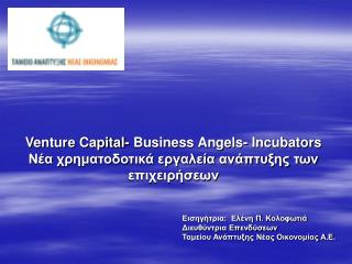 venture capital business angels incubators